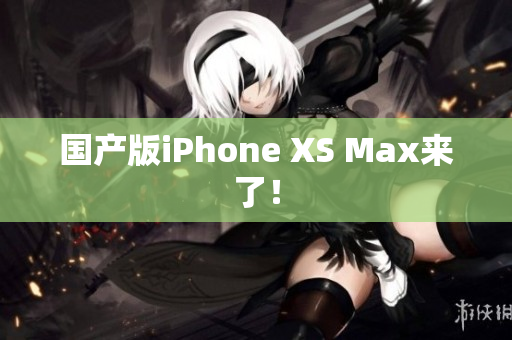 国产版iPhone XS Max来了！