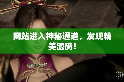 网站进入神秘通道，发现精美源码！
