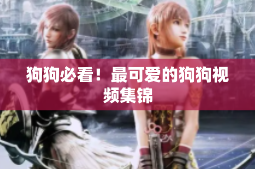 狗狗必看！最可爱的狗狗视频集锦
