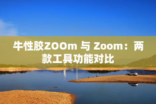 牛性胶ZOOm 与 Zoom：两款工具功能对比