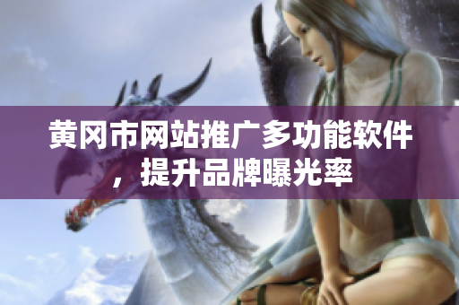 黄冈市网站推广多功能软件，提升品牌曝光率