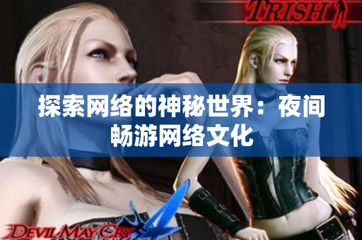 探索网络的神秘世界：夜间畅游网络文化