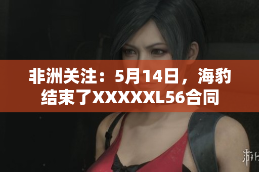非洲关注：5月14日，海豹结束了XXXXXL56合同