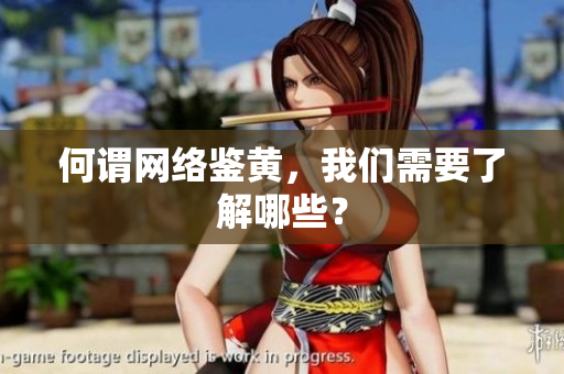 何谓网络鉴黄，我们需要了解哪些？