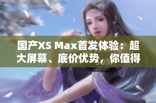 国产XS Max首发体验：超大屏幕、底价优势，你值得尝试！
