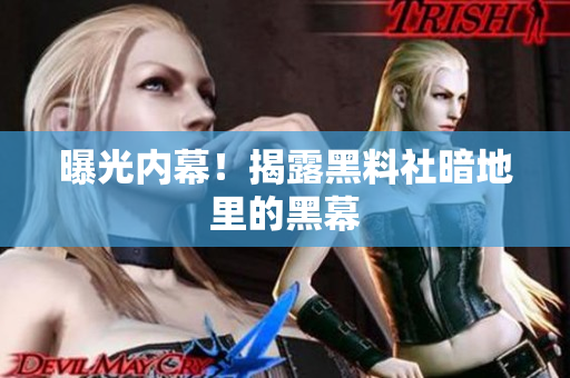 曝光内幕！揭露黑料社暗地里的黑幕