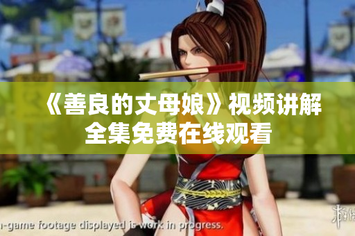 《善良的丈母娘》视频讲解全集免费在线观看