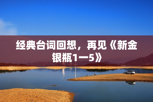 经典台词回想，再见《新金银瓶1一5》