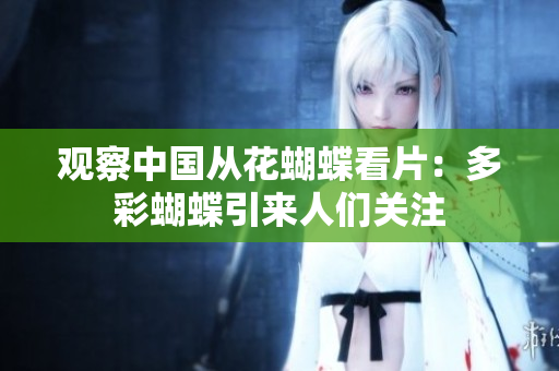 观察中国从花蝴蝶看片：多彩蝴蝶引来人们关注