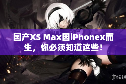 国产XS Max因iPhonex而生，你必须知道这些！