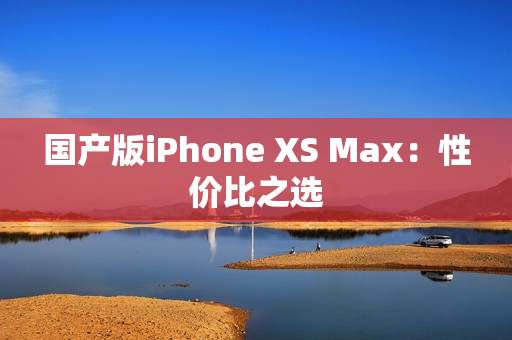国产版iPhone XS Max：性价比之选