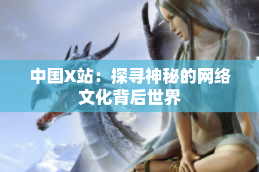 中国X站：探寻神秘的网络文化背后世界