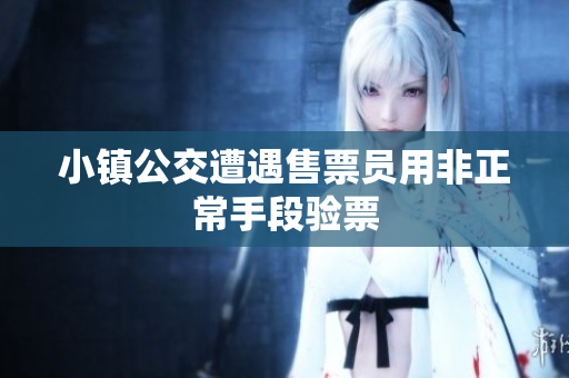 小镇公交遭遇售票员用非正常手段验票