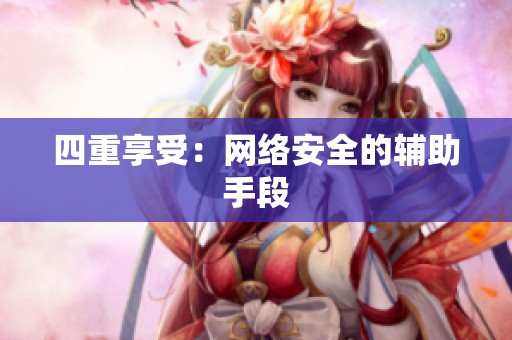 四重享受：网络安全的辅助手段
