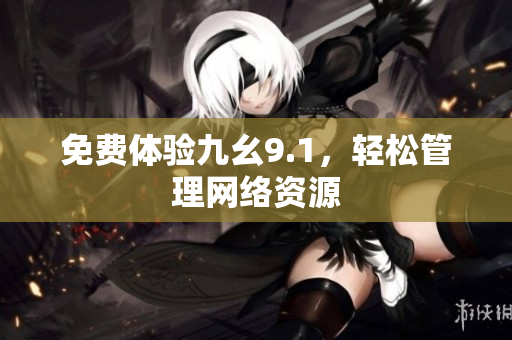 免费体验九幺9.1，轻松管理网络资源