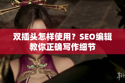 双插头怎样使用？SEO编辑教你正确写作细节