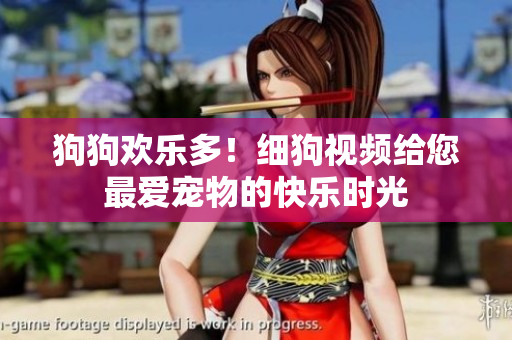 狗狗欢乐多！细狗视频给您最爱宠物的快乐时光
