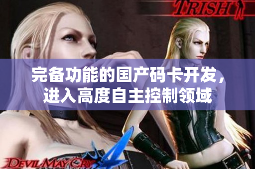 完备功能的国产码卡开发，进入高度自主控制领域