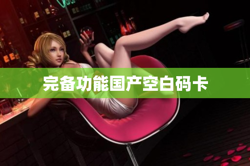 完备功能国产空白码卡
