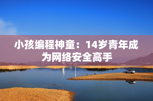 小孩编程神童：14岁青年成为网络安全高手