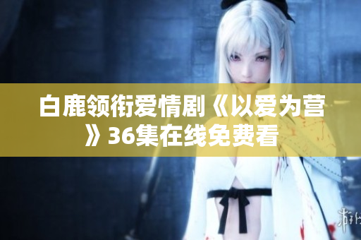 白鹿领衔爱情剧《以爱为营》36集在线免费看