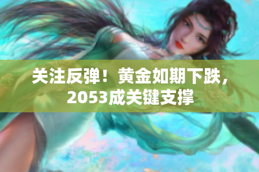 关注反弹！黄金如期下跌，2053成关键支撑