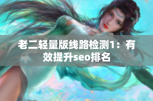 老二轻量版线路检测1：有效提升seo排名