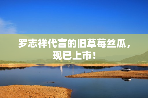 罗志祥代言的旧草莓丝瓜，现已上市！