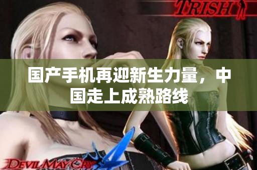 国产手机再迎新生力量，中国走上成熟路线