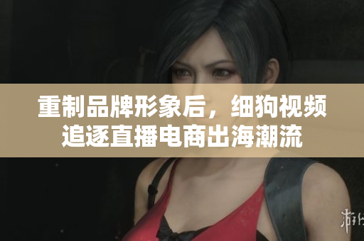 重制品牌形象后，细狗视频追逐直播电商出海潮流