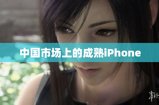 中国市场上的成熟iPhone