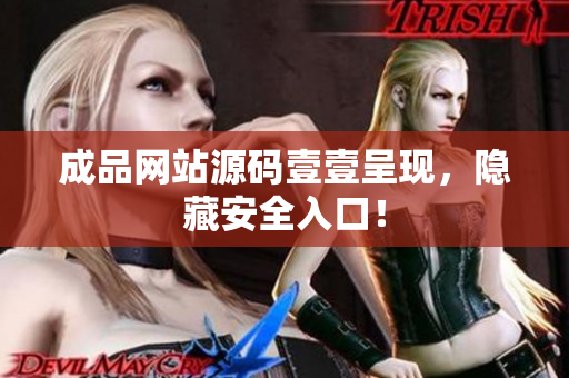 成品网站源码壹壹呈现，隐藏安全入口！