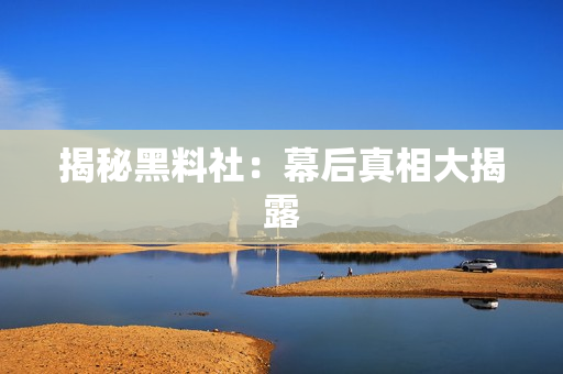 揭秘黑料社：幕后真相大揭露