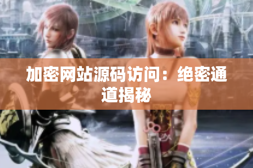 加密网站源码访问：绝密通道揭秘