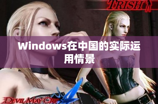 Windows在中国的实际运用情景