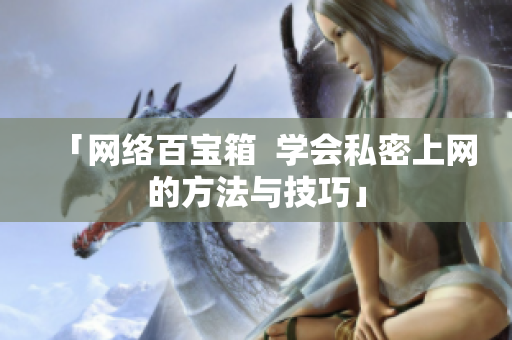 「网络百宝箱  学会私密上网的方法与技巧」