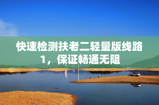 快速检测扶老二轻量版线路1，保证畅通无阻