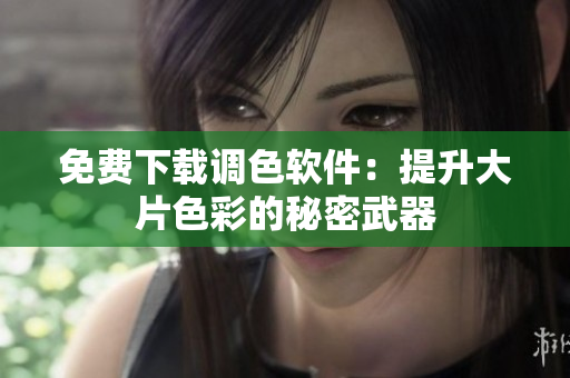 免费下载调色软件：提升大片色彩的秘密武器