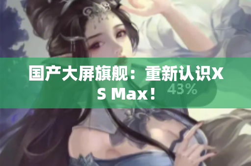 国产大屏旗舰：重新认识XS Max！