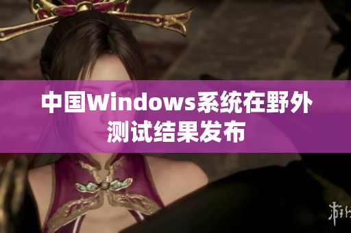 中国Windows系统在野外测试结果发布