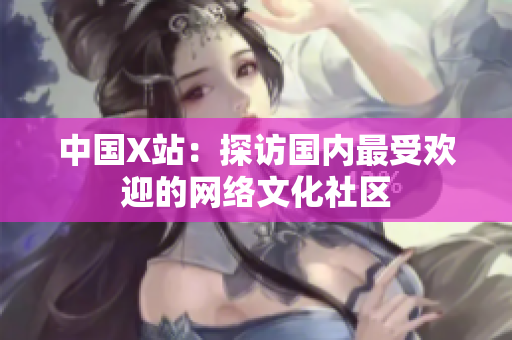 中国X站：探访国内最受欢迎的网络文化社区