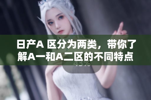 日产A 区分为两类，带你了解A一和A二区的不同特点