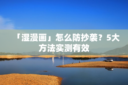 「湿漫画」怎么防抄袭？5大方法实测有效