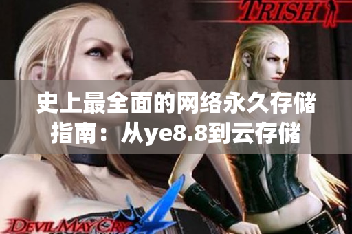史上最全面的网络永久存储指南：从ye8.8到云存储