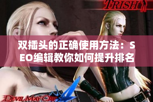 双插头的正确使用方法：SEO编辑教你如何提升排名
