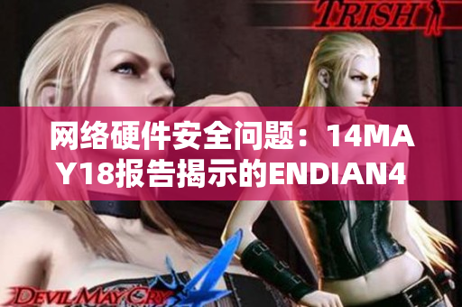 网络硬件安全问题：14MAY18报告揭示的ENDIAN40漏洞