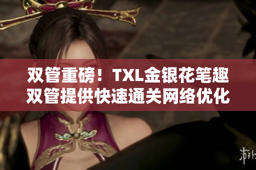 双管重磅！TXL金银花笔趣双管提供快速通关网络优化攻略