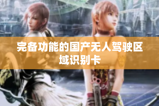 完备功能的国产无人驾驶区域识别卡