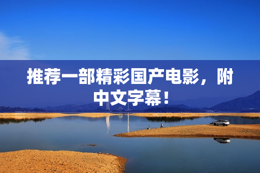 推荐一部精彩国产电影，附中文字幕！