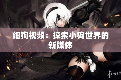 细狗视频：探索小狗世界的新媒体